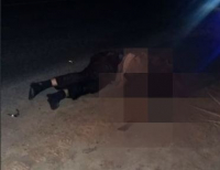 фото: ГУ МВД по Волгоградской области