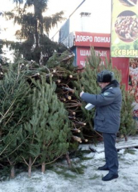 Опасные елки
