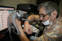 фото Бари Алибасова с личного аккаунта "Вконтакте"