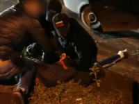 фото: МВД России