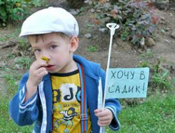 В Волгограде мамочки «сидеть» три года не хотят В Волгограде мамочки «сидеть» три года не хотят
