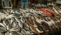 В Волгограде и необычное становится обычным