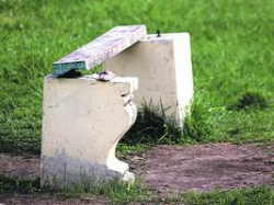 Парки и скверы Волгограда нуждаются в защите Парки и скверы Волгограда нуждаются в защите