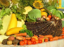 Отечественных сельхозпроизводителей защитят от произвола в торговых сетях Отечественных сельхозпроизводителей защитят от произвола в торговых сетях