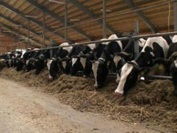 Действенные меры поддержки позволили не допустить массового банкротства сельхозпредприятий Волгоградской области