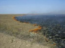 Жителей Волгограда и области предупреждают о чрезвычайной пожарной опасности