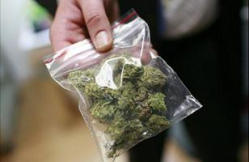 Что казакам полезнее: сбывать марихуану или землю пахать?