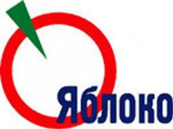 Политик из Волгограда отказалась стать президентом России