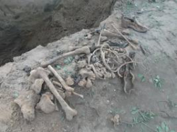 В Волгограде нашли останки артиллериста времен ВОВ В Волгограде нашли останки артиллериста времен ВОВ