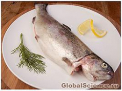 Шесть продуктов для здоровья мозга