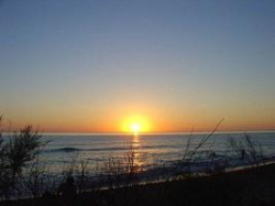 Ученые: уровень моря поднялся на один метр