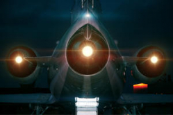  Из-за птицы в Волгограде экстренно сел самолет с 80 пассажирами