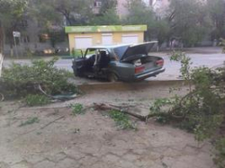 На юге Волгограда легковушка протаранила дерево На юге Волгограда легковушка протаранила дерево