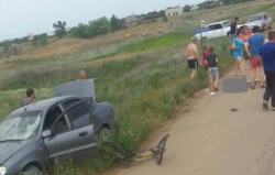 В дачном поселке под Волгоградом сбили двух школьников