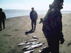 Под Волгоградом попались «ценные» браконьеры, среди которых есть судья Под Волгоградом попались «ценные» браконьеры, среди которых есть судья