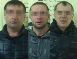 В Волгограде задержали банду профессиональных автоворов