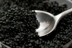 Современный набор «джентльменов удачи»: сети, патроны, икра