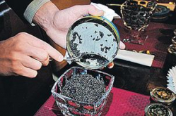 Под  Волгоградом задержана преступная группа, занимавшаяся поставкой черной икры из республик Северного Кавказа