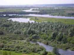 Когда из усилий чиновника толк имеется Когда из усилий чиновника толк имеется