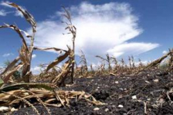 Услышит ли столица призыв из Волгограда?