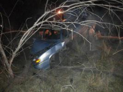 В Волгоградской области 16-летняя девушка въехала на «Ладе» в дерево В Волгоградской области 16-летняя девушка въехала на «Ладе» в дерево