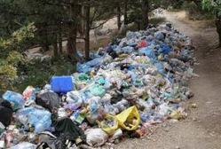 В чей котел списывались волгоградские фазаны? В чей котел списывались волгоградские фазаны?