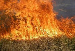 В Волгоградской области противопожарная защищенность  остается сложной