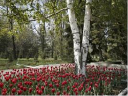 Реальные посадки в конкретном городе