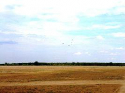 Не любо, казаки, не любо!