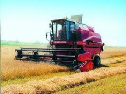 Спасать деревню, возможно, придется государству