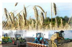 Алексей Сарафанов: «В числе приоритетов – формирование многоукладности в сельской экономике, государственная поддержка фермерства» 