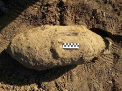 Под Волгоградом 82-ую годовщину со Дня образования ГО спасатели «отметили с бомбой» Под Волгоградом 82-ую годовщину со Дня образования ГО спасатели «отметили с бомбой»