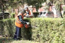 В центре Волгограда продолжаются работы по благоустройству В центре Волгограда продолжаются работы по благоустройству