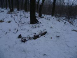 В Волгоградской области обнаружена мощная бомба В Волгоградской области обнаружена мощная бомба