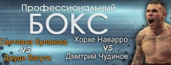 На один день Волгоград стал столицей мирового бокса