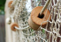 В Волгоградской области продолжают ловить браконьеров