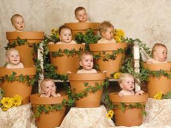 Мамам все равно, кто решит их проблемы: красные, синие или голубые