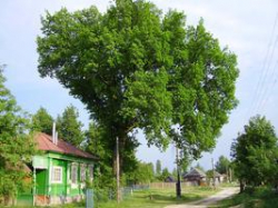 Общественная Палата РФ проводит фотоконкурс «Утерянные деревни России» Общественная Палата РФ проводит фотоконкурс «Утерянные деревни России»