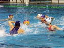 Волгоградки выступят в составе сборной России на чемпионате Европы Волгоградки выступят в составе сборной России на чемпионате Европы