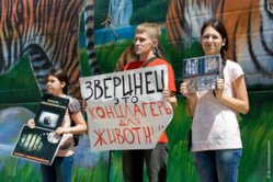 Волгоградские защитники животных пикетировали передвижные зверинцы Волгоградские защитники животных пикетировали передвижные зверинцы