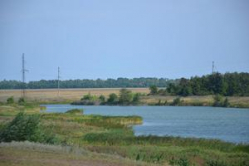 Русская выхухоль покидает Волгоградскую область? Русская выхухоль покидает Волгоградскую область?