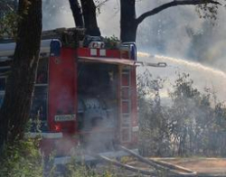 В Волгоградской области за сезон пострадали 380 гектаров степных площадей