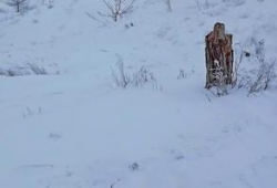 В Австрии снежная лавина накрыла 12 лыжников