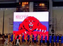 Сборная России по водному поло выступит на ЕВРО – 2016 Сборная России по водному поло выступит на ЕВРО – 2016