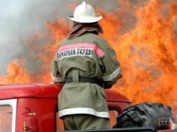 Под Волгоградом на пожаре погибли брат с сестрой Под Волгоградом на пожаре погибли брат с сестрой