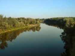 В Волгограде продолжают борьбу в защиту Хопра