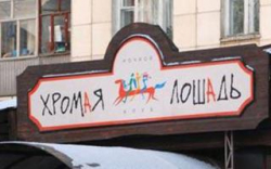 Исполнительный директор «Хромой лошади» вышла на свободу по амнистии