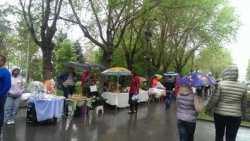 В Волгограде выставка мастеров накрылась дождевиками В Волгограде выставка мастеров накрылась дождевиками