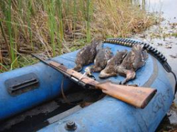 Охотники, выходите из засады на законных основаниях