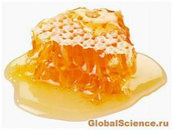 Мед помогает излечивать раны у лошадей